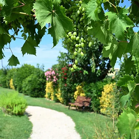 I Delfini - Natural Bed and Breakfast 4*