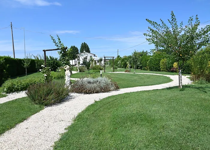 I Delfini - Natural Чезенатико