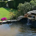 I Delfini - Natural