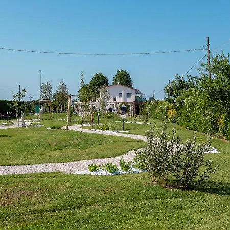 I Delfini - Natural 切塞纳蒂科