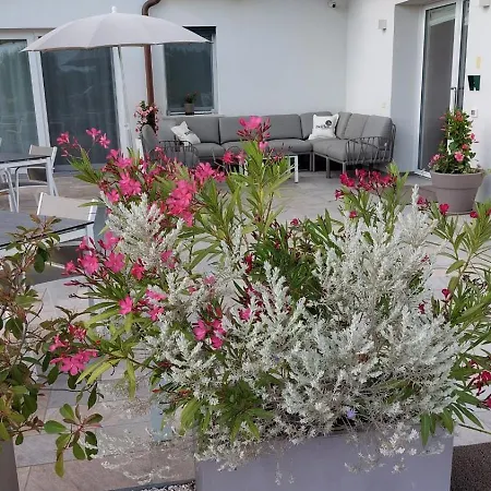 Bed and breakfast I Delfini - Natural