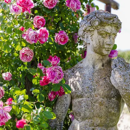 I Delfini - Natural Cesenatico