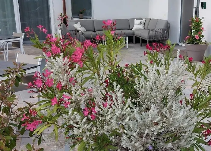 Bed and Breakfast I Delfini - Natural