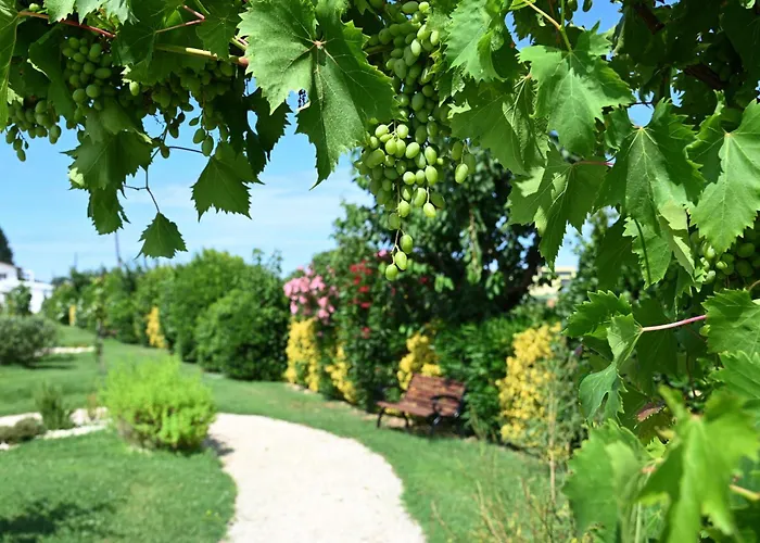 I Delfini - Natural Bed and Breakfast 4*