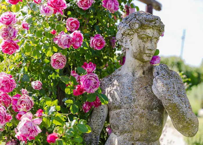 I Delfini - Natural Cesenatico